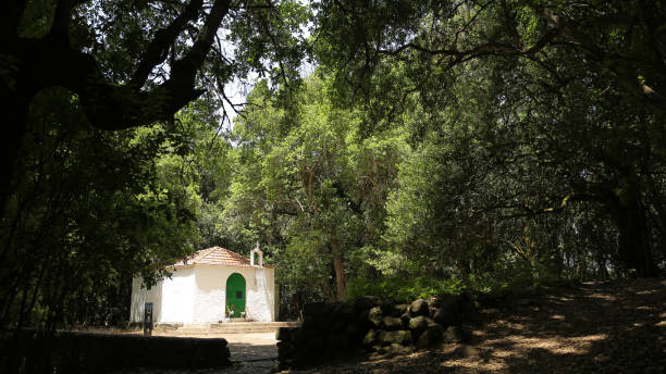 istock Garajonay National Park 1181301733