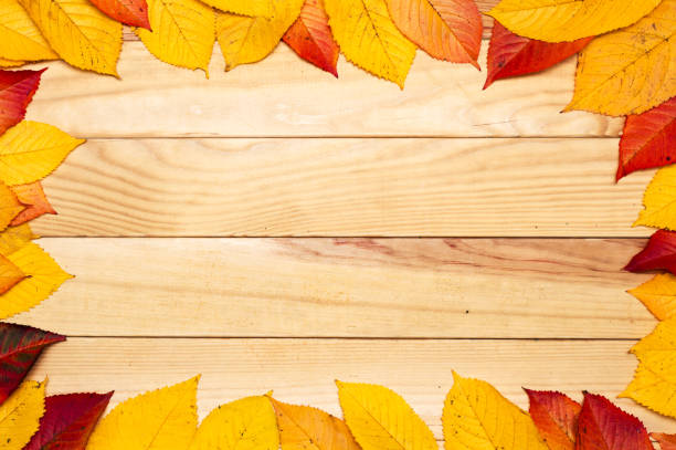 istock Bright autumn leaves old wooden surface with copy space 1181303305