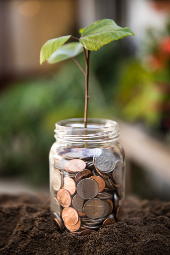 This is a photograph of green leaves coming out of the mdiddle of a coin jar sitting in the dirt to symbolize growth in savings and retirement.