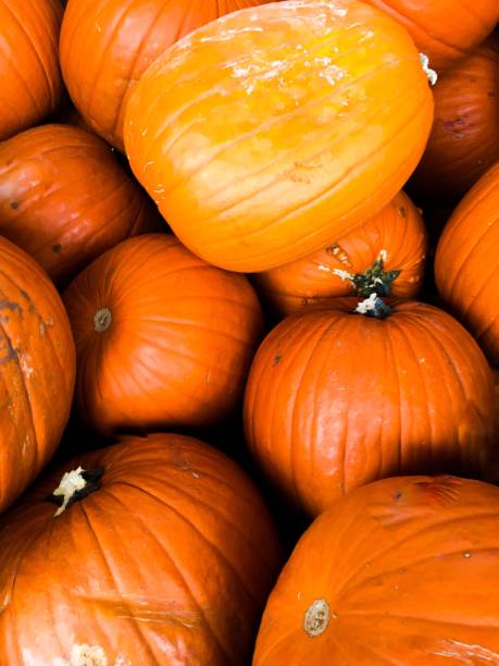 istock Bright orange pile of pumpkins 1181306265