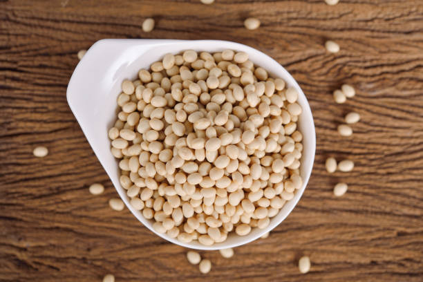 istock uncooked navy beans in white bowl and on wooden background 1181308679