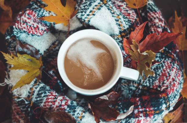 istock Cup of coffee in the leaves 1181310852