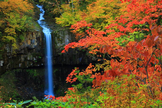 istock Hachimantai of colored leaves 1181312048