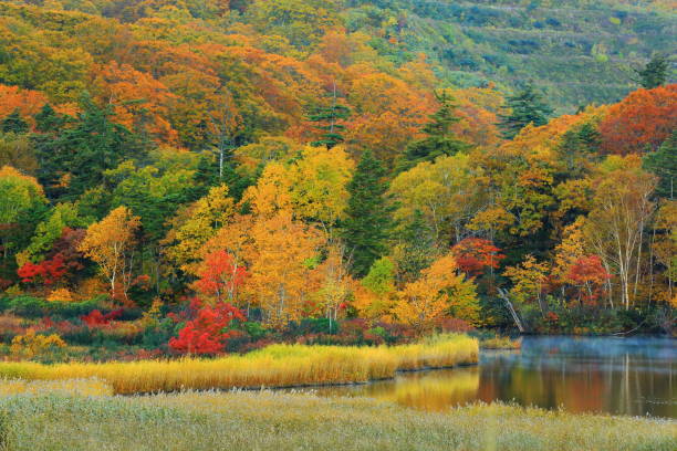 istock Hachimantai of colored leaves 1181312137