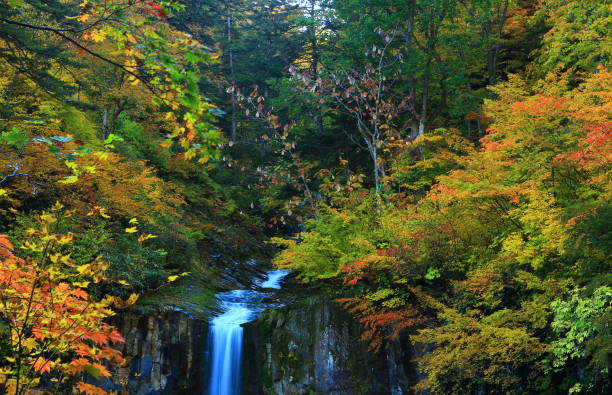 istock Hachimantai of colored leaves 1181312801