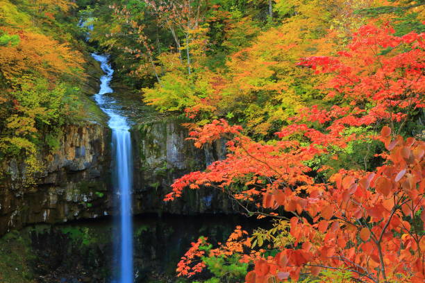 istock Hachimantai of colored leaves 1181312817