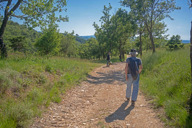 istock Lifestyle in Provence 1181313014