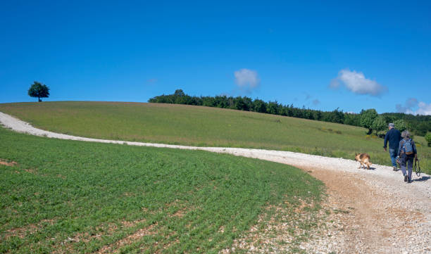 istock Lifestyle in Provence 1181313104