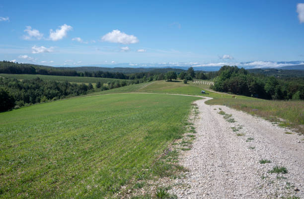 istock Lifestyle in Provence 1181313123