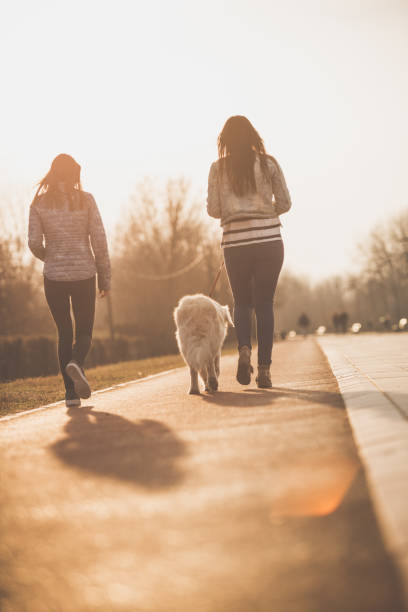 istock Women and dog enjoying a walk during springtime 1181315237