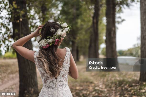 Beautiful Bride In Wedding Dress With Floral Crown Stock Photo - Download Image Now - Floral Crown, Wedding, Bride