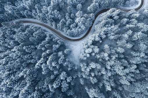 Carretera que conduce a través del bosque de invierno photo
