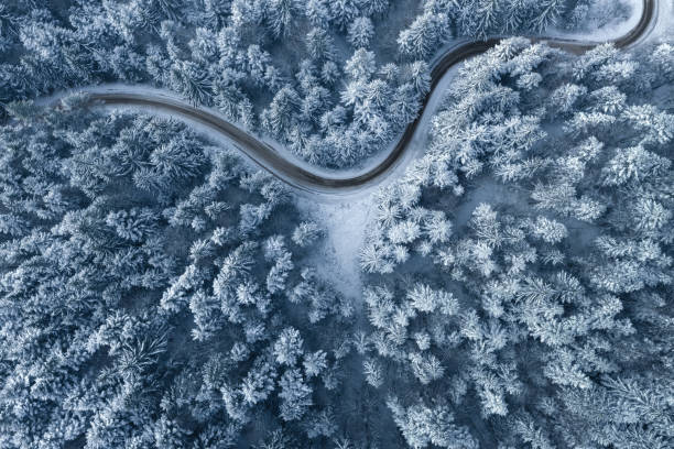 Road Leading Through The Winter Forest Road leading through snowcapped winter forest. Aerial view. country road photos stock pictures, royalty-free photos & images