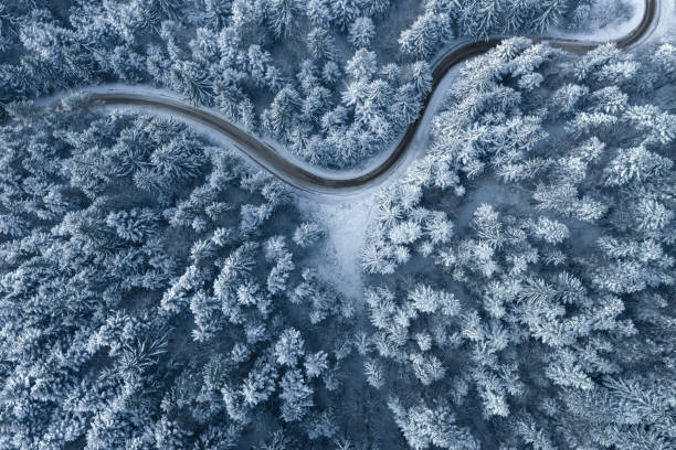 дорога, ведущая через зимний лес - aerial view landscape scenics snow стоковые фото и изображения