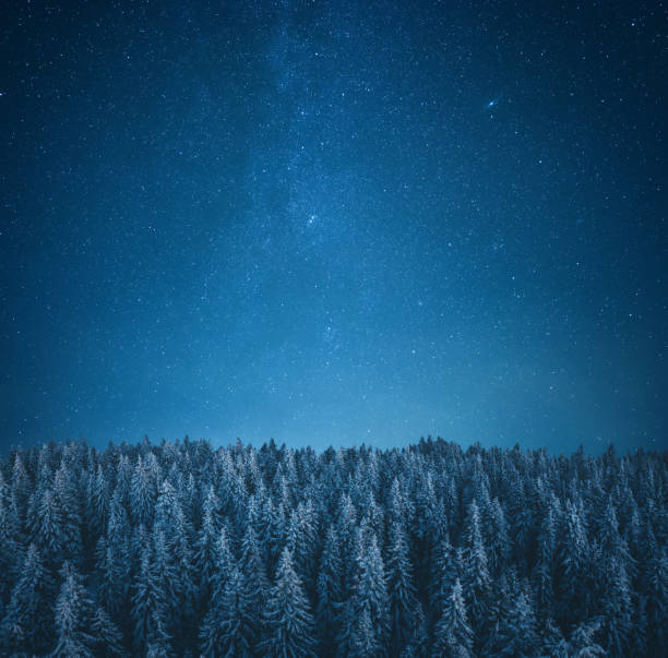 Under The Starry Sky Aerial view on snowcapped pine forest under starry night sky. tranquil evening stock pictures, royalty-free photos & images