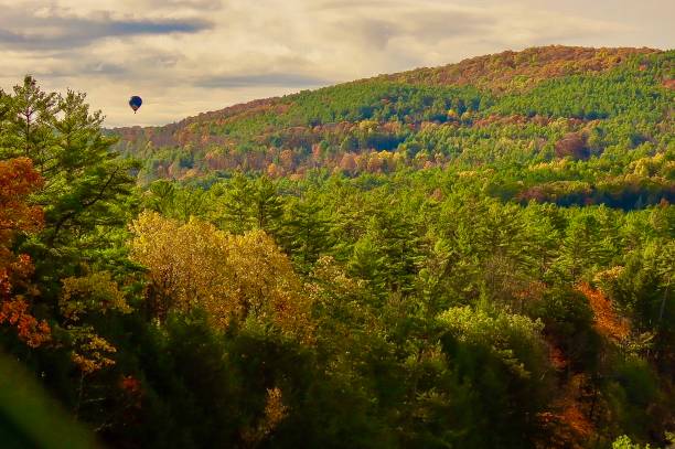 istock Hot Air Balloon Over Foliage 1181316931