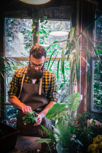 istock Gardener in a greenhouse 1181317430