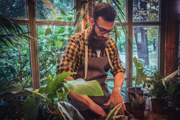 istock Greenhouse in the park 1181317438