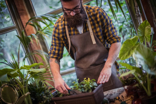 istock Home greenhouse 1181317440