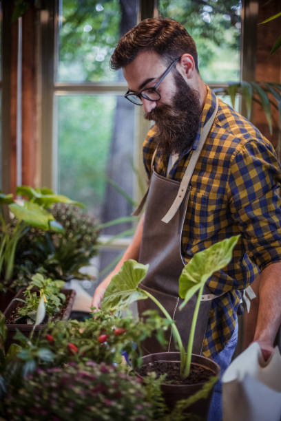 istock Greenhouse gardening 1181317445