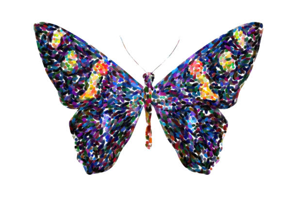 istock tropical colorful butterfly isolated on white background 1181319726