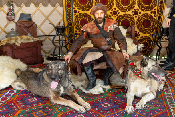 4. Etnospor cultural festival Istanbul. Man with old traditional Turkish dress and "kangal dogs" Istanbul / Turkey - October 04 2019: 4. Etnospor cultural festival. Man with old traditional Turkish dress and "kangal dogs" kangal dog stock pictures, royalty-free photos & images