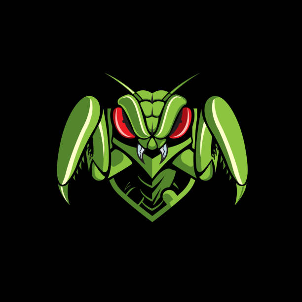 Mantis emblem logo. vector Mantis emblem logo. vector for esport team, t-shirt design, or any other purpose. praying mantis stock illustrations