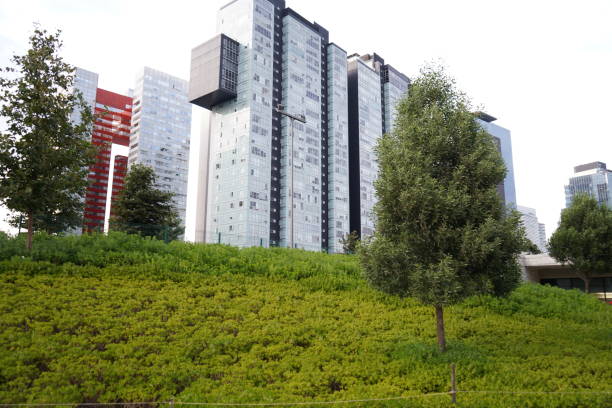 istock Park and city 1181327977