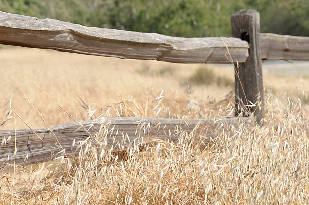 istock Wooden Fence Close Up 118132854