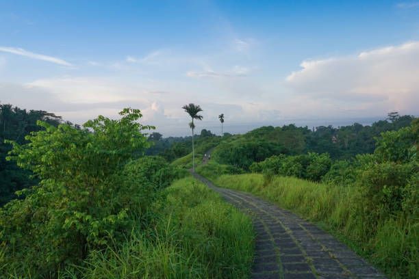istock Clear and beautiful sky In Ubud Bali Indonesia 1181328661