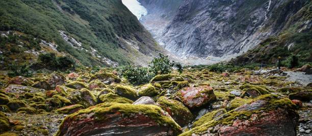 франц иосиф - franz josef glacier стоковые фото и изображения