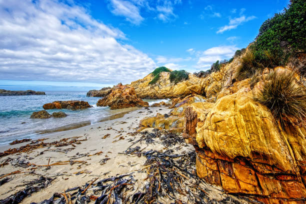 istock Quarry Beach Mallacoota 1181329639