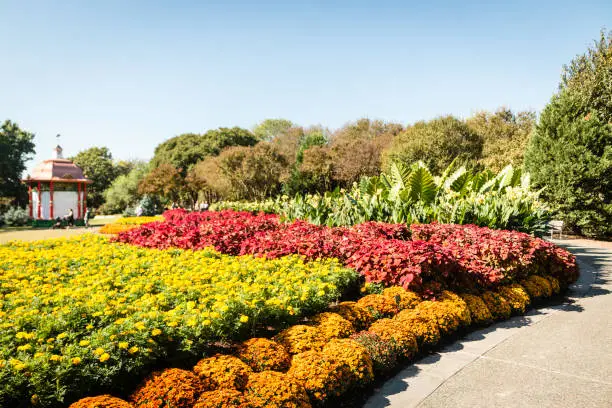 Photo of The Dallas Arboretum and Botanical Garden