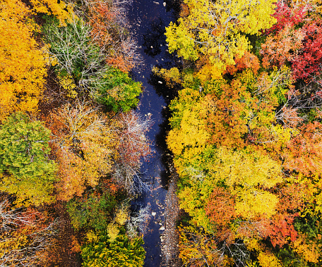 Aerial drone view of Autumn colours in Nova Scotia.