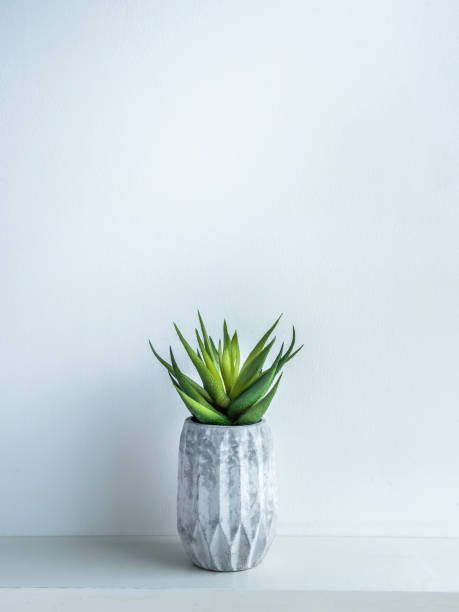 istock Concrete pot. Modern geometric concrete planter. 1181333879