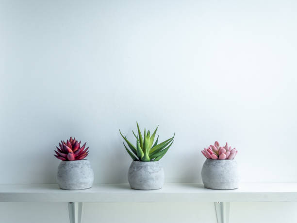 istock Concrete pot. Modern geometric concrete planter. 1181333946