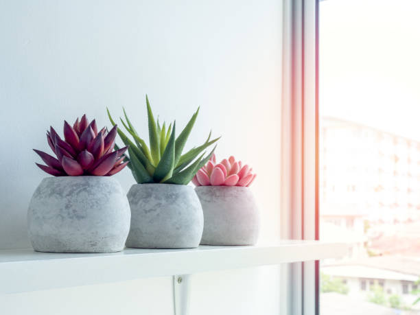 istock Concrete pot. Modern geometric concrete planter. 1181333972