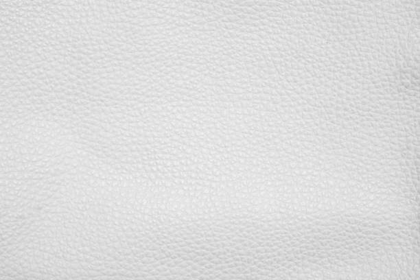 istock Abstract White Leather Texture used as luxury classic background or upholstery pattern sofa furniture, Leather dyeing industry product export for the country. Clean painted wall for publication space. 1181335257
