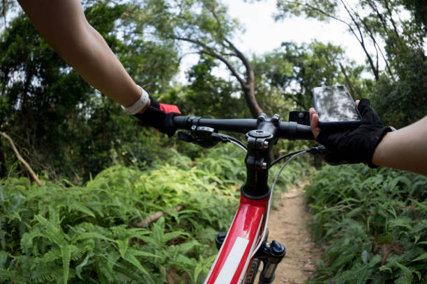 istock Cyclist using smart phone while riding bike on the rainforest trail 1181337431