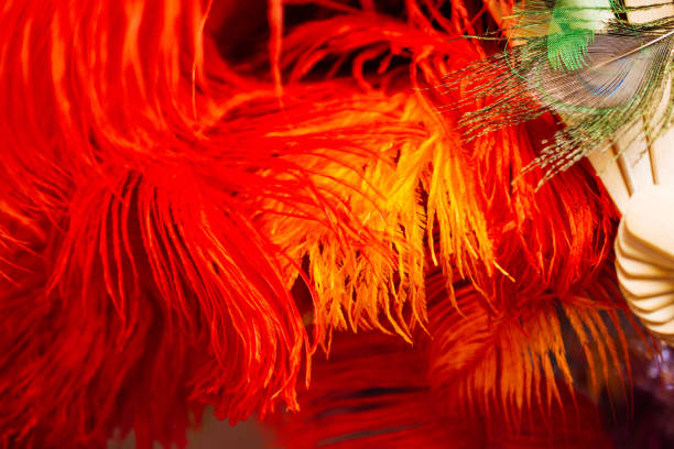 istock Collection of bright colored bird  feathers 1181338309