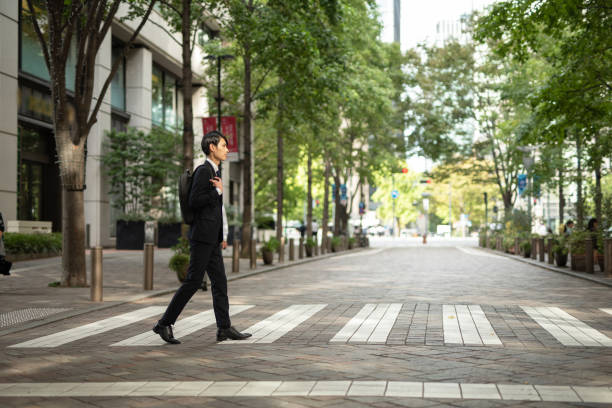 молодой бизнесмен гуляет по зебре - city street street walking tree стоковые фото и изображения