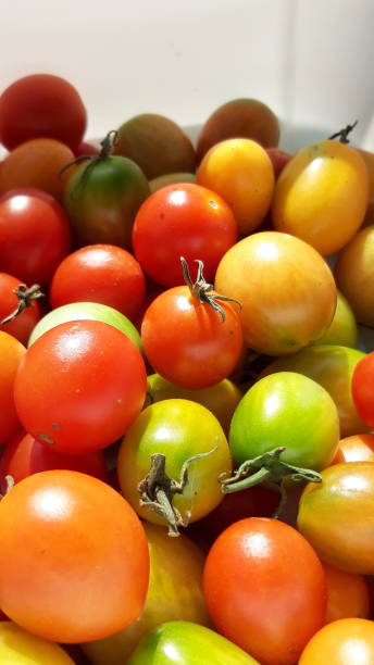 istock a cute little cherry tomato 1181340109
