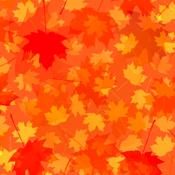 istock autumn background with maple leaves. vector illustration. design template for print, greeting card, banner, invitation, poster, vignette, flyer, card, sign 1181340173