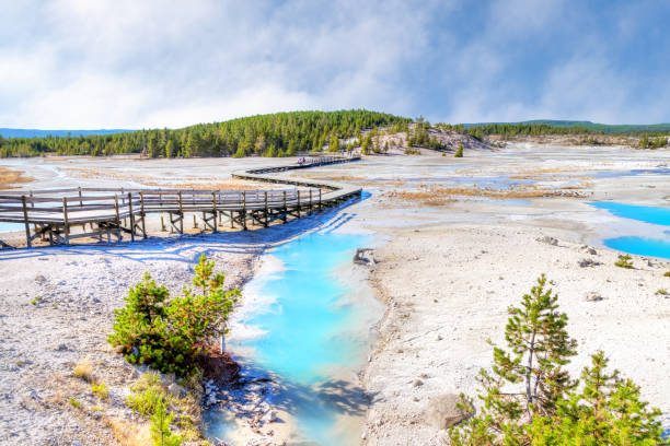 Porcelain Basin Trail at Norris Geyser Basin in Yellowstone National Park Geothermal pools at Porcelain Basin boardwalk trail inside Norris Geyser Basin of Yellowstone National Park, Wyoming, USA. norris geyser basin photos stock pictures, royalty-free photos & images
