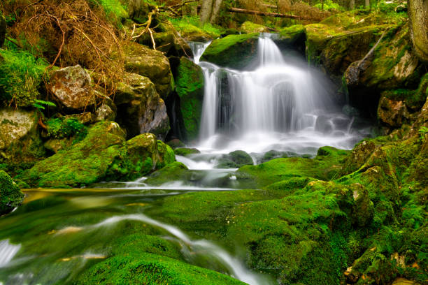 istock Mossy Green Waterfall in Tropical Rain forest. 1181341255