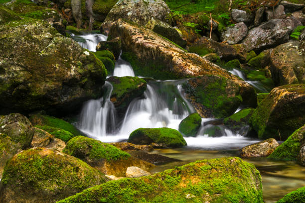 istock Beautiful mountain rain-forest waterfall with fast flowing water and rocks, long exposure. 1181341307