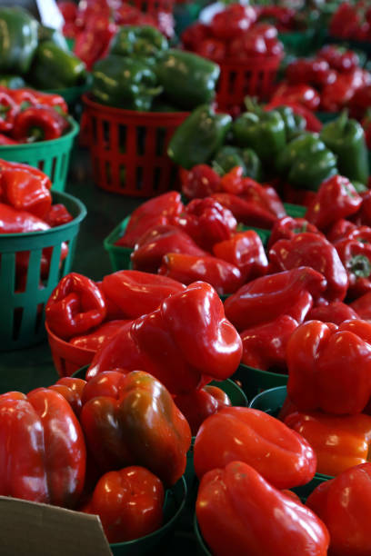 農家市場からの野菜。エコロジー製品。自然な背景。 - farmers market montreal canada market ストックフォトと画像