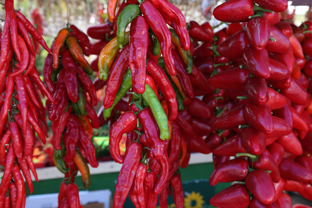 istock Organic, fresh farm grown hot pepper. Ecologic natural vegetable background. 1181346764