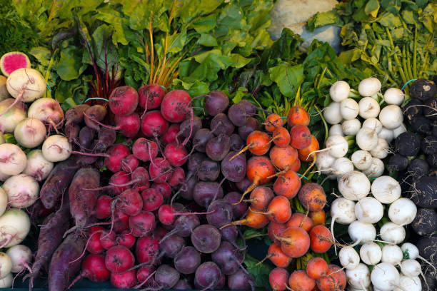 生物学的、天然栽培ビート、ビートルート、市場カウンター。 - farmers market montreal canada market ストックフォトと画像