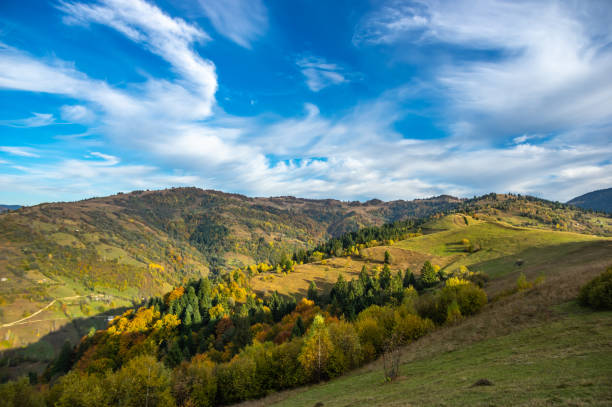 istock Yellow autumn forest in the mountains 1181351955